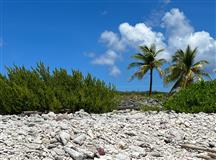 South Shore Coastal ~ Cayman Brac