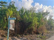 Guava Grove House Lot, Lower Valley|MOD Realty